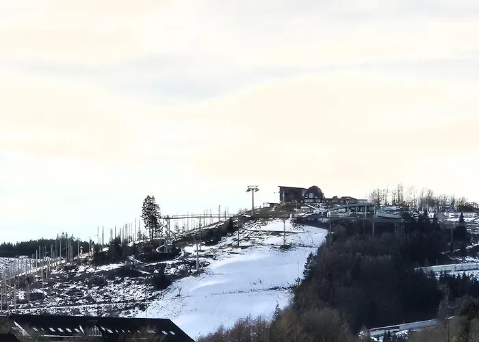 21136 Lägenhet Winterberg